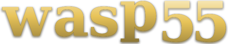 wasp 55 โลโก้